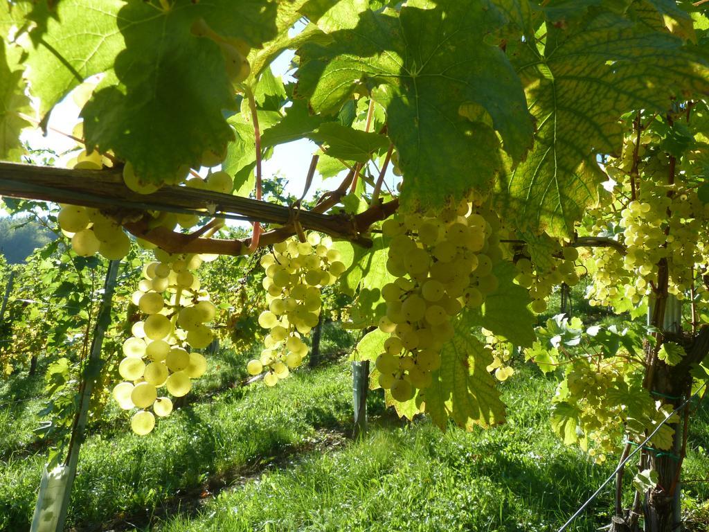 Weingut- Gaestezimmer Marko Leutschach Extérieur photo