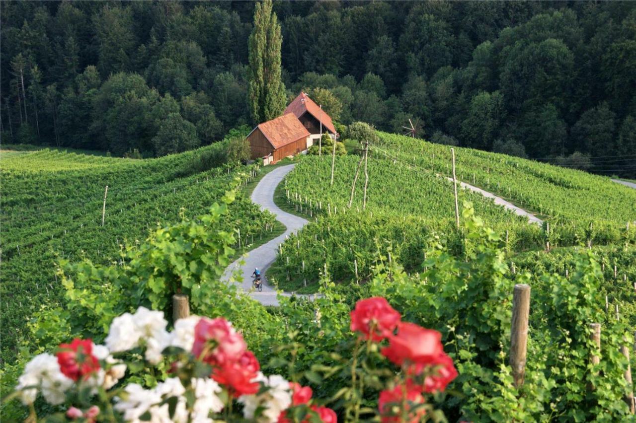 Weingut- Gaestezimmer Marko Leutschach Extérieur photo
